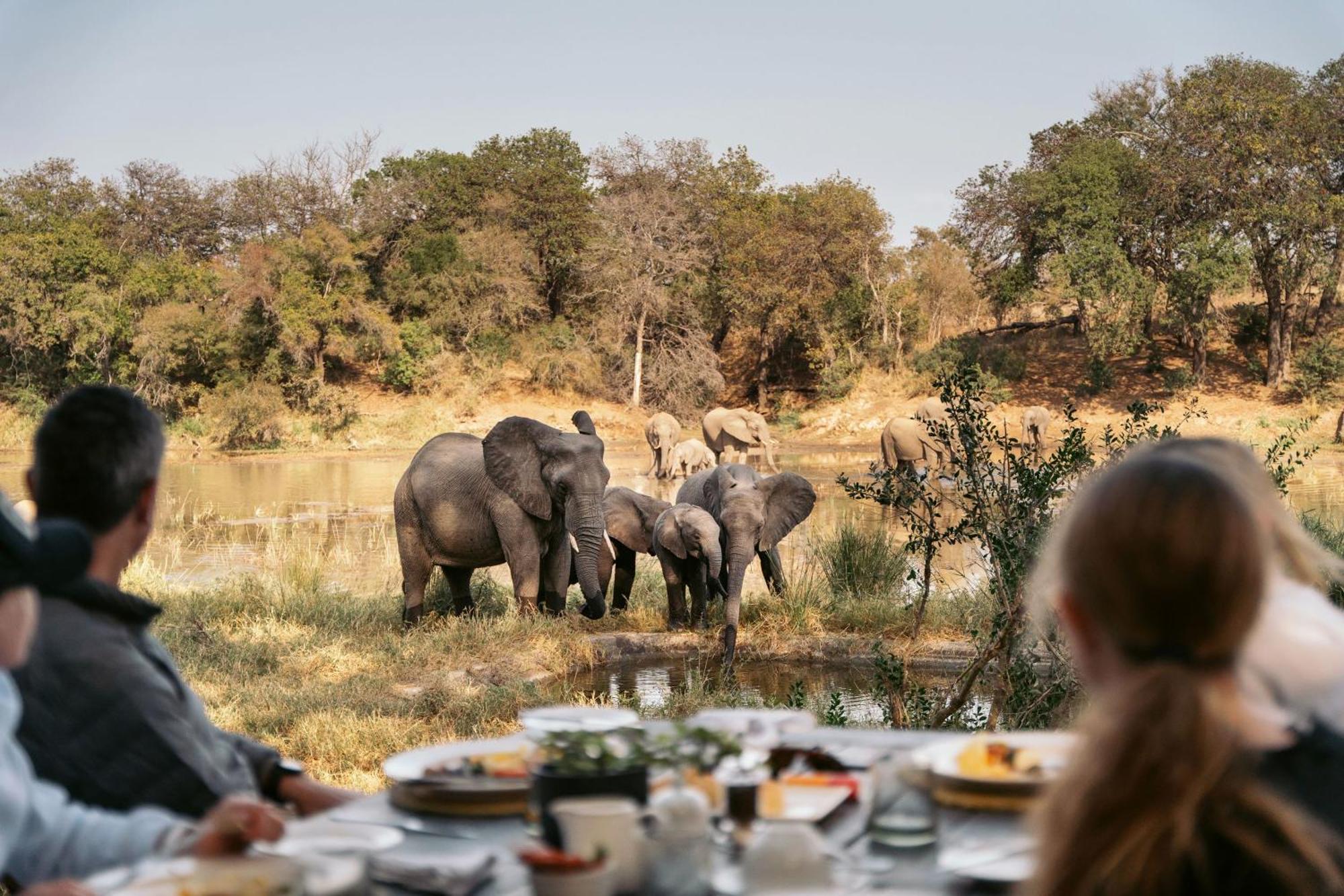 Simbavati River Lodge Timbavati Game Reserve Eksteriør billede