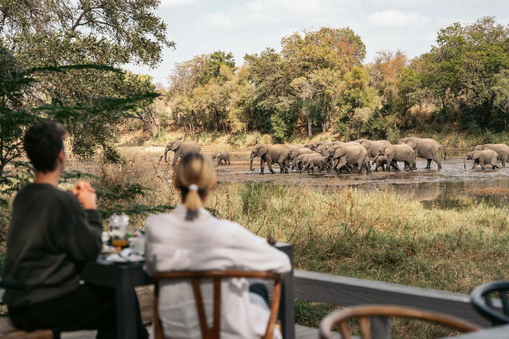 Simbavati River Lodge Timbavati Game Reserve Eksteriør billede