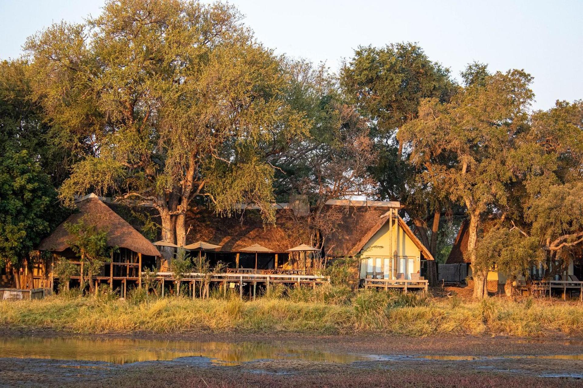 Simbavati River Lodge Timbavati Game Reserve Eksteriør billede