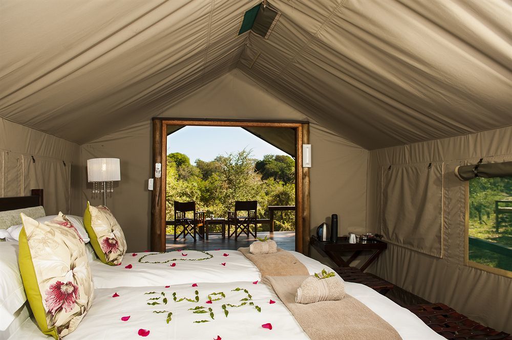 Simbavati River Lodge Timbavati Game Reserve Eksteriør billede