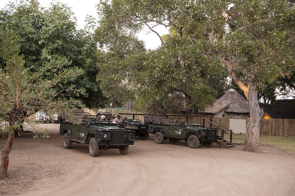Simbavati River Lodge Timbavati Game Reserve Eksteriør billede