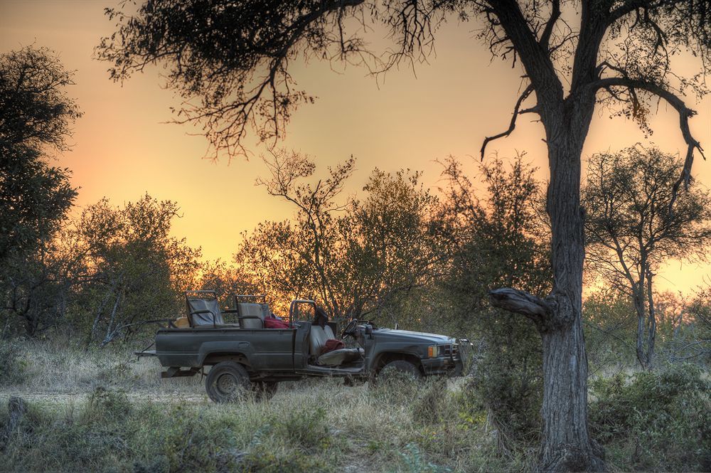 Simbavati River Lodge Timbavati Game Reserve Eksteriør billede